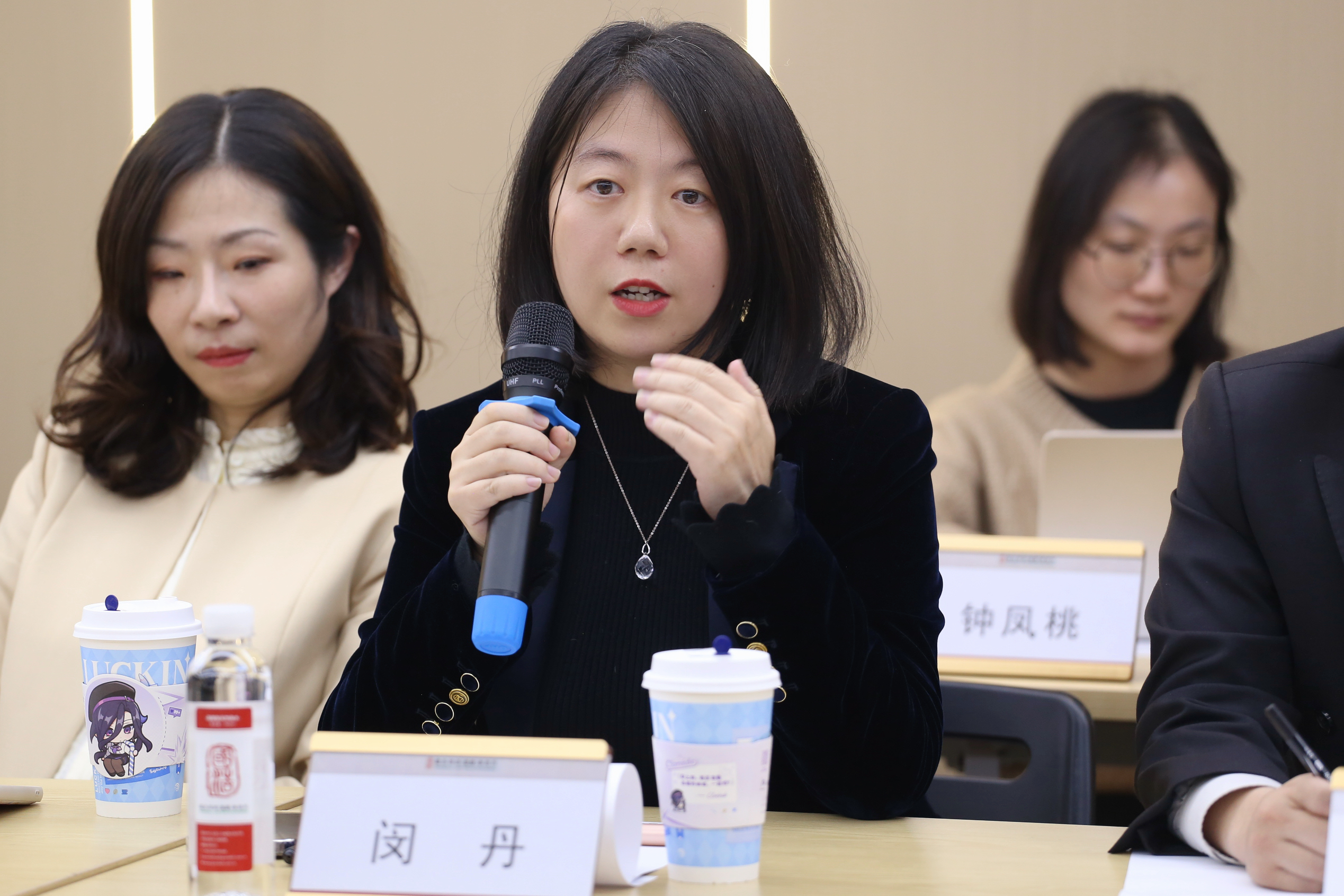 成都辦青工委副主任閔丹.jpg 成都辦青工委副主任閔丹.jpg